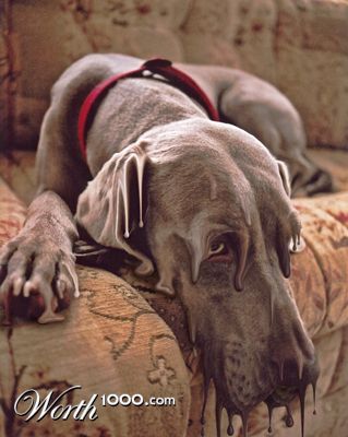 Photoshop Design by rblack