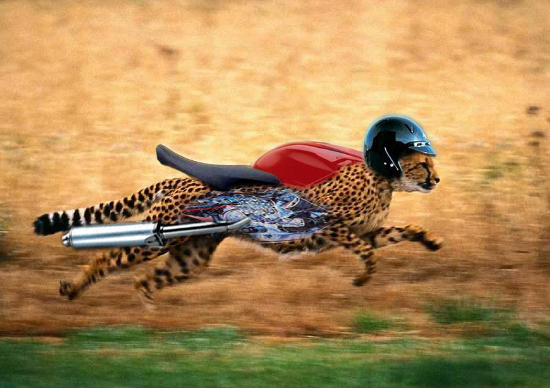 Photoshop Design by anzaar786 for DesignCrowd (Community Contests) | Design #9027114