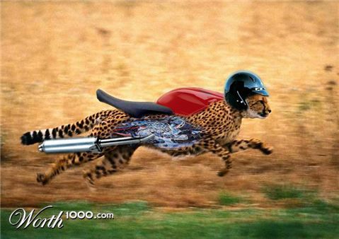 Photoshop Design by anzaar786