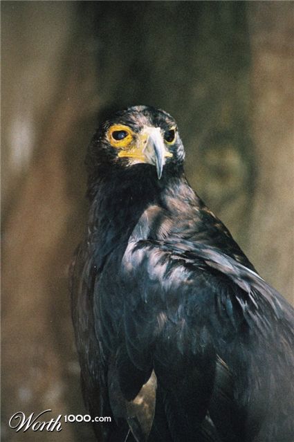 Photography by christelgrie