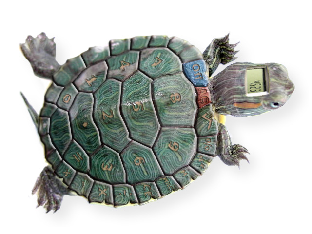 Photoshop-Design von Wanjaforpresident für DesignCrowd (Community Contests) | Design #9027119