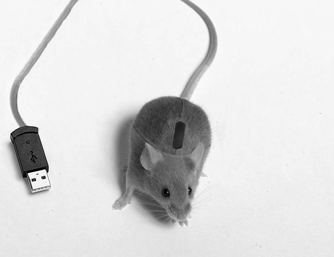 Photoshop Design by Gabrielle for DesignCrowd (Community Contests) | Design #9027106