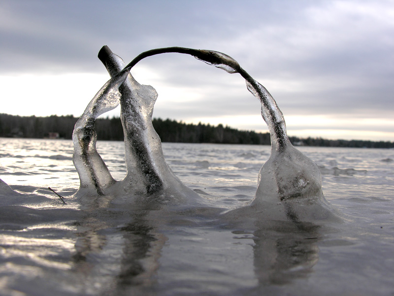 Photography by joshuaschrock for DesignCrowd (Community Contests) | Design #9025124