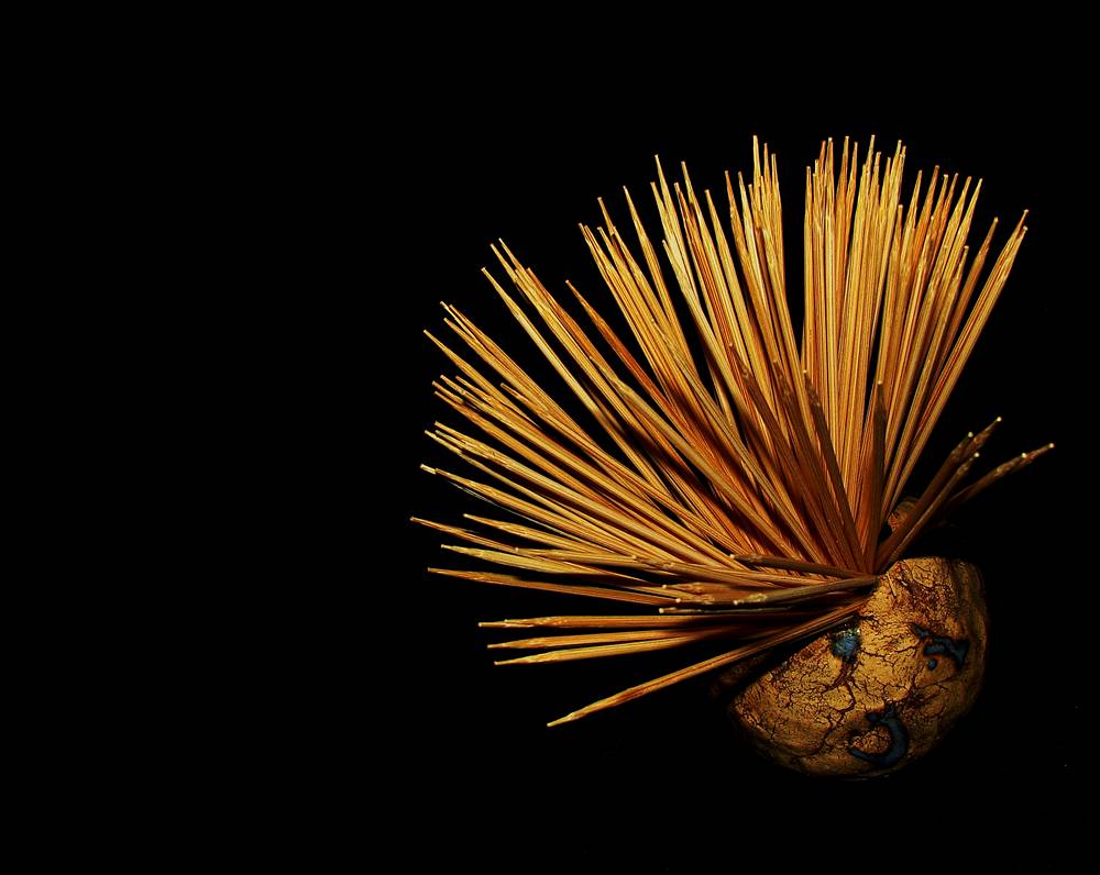 Photographie par Berilu pour DesignCrowd (Community Contests) | Design #9025145