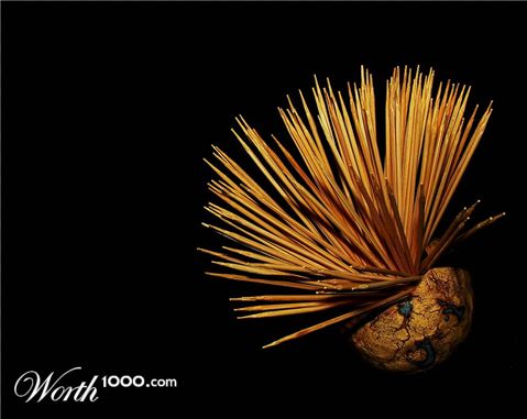 Photography by Berilu