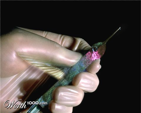 Photoshop Design by ravenwolven