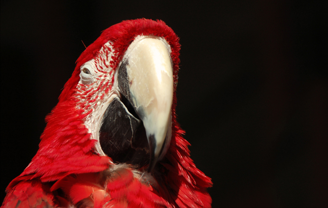 Photography by m3mane30 for DesignCrowd (Community Contests) | Design #9024022