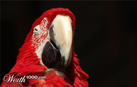 Photography by m3mane30