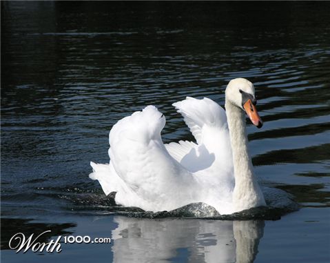 Photography by reconart