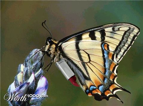 Photoshop Design by RosienHoH
