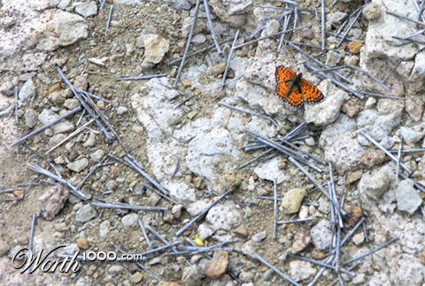 Photography by reconart