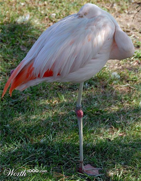 Photography by cshutt