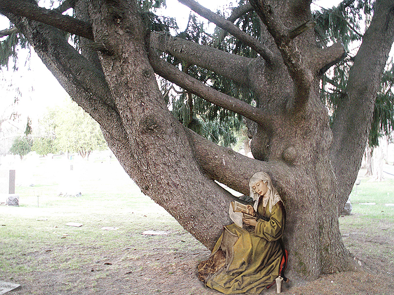 Photoshop Design by Noesis for DesignCrowd (Community Contests) | Design #9022918