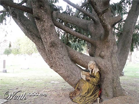 Photoshop Design by Noesis