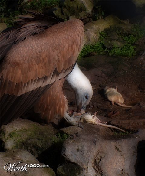 Photography by Nicky666