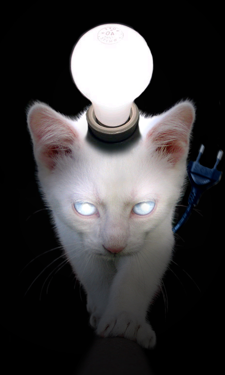 Photoshop Design by Flimzer for DesignCrowd (Community Contests) | Design #9027190