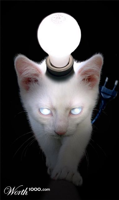 Photoshop Design by Flimzer