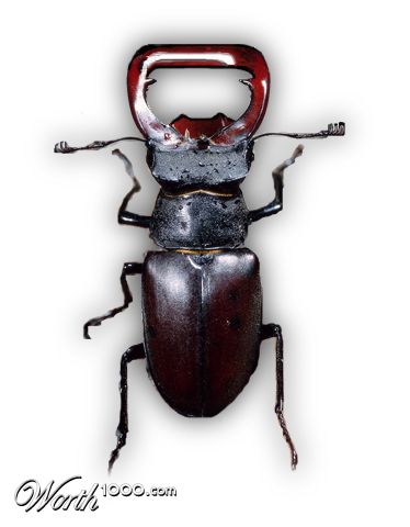 Photoshop Design by brandy000