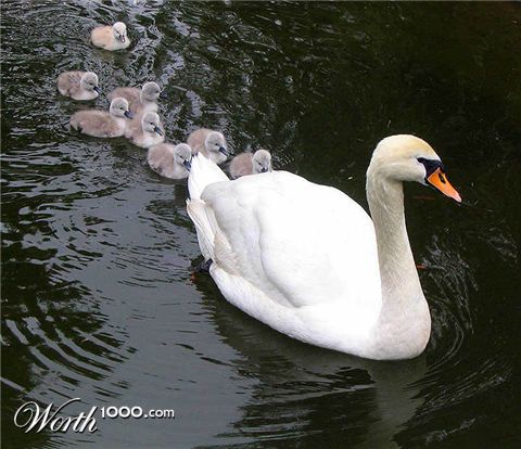 Photography by SnezaL