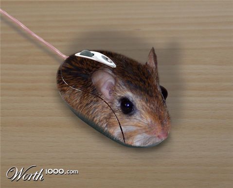 Photoshop Design by rblack