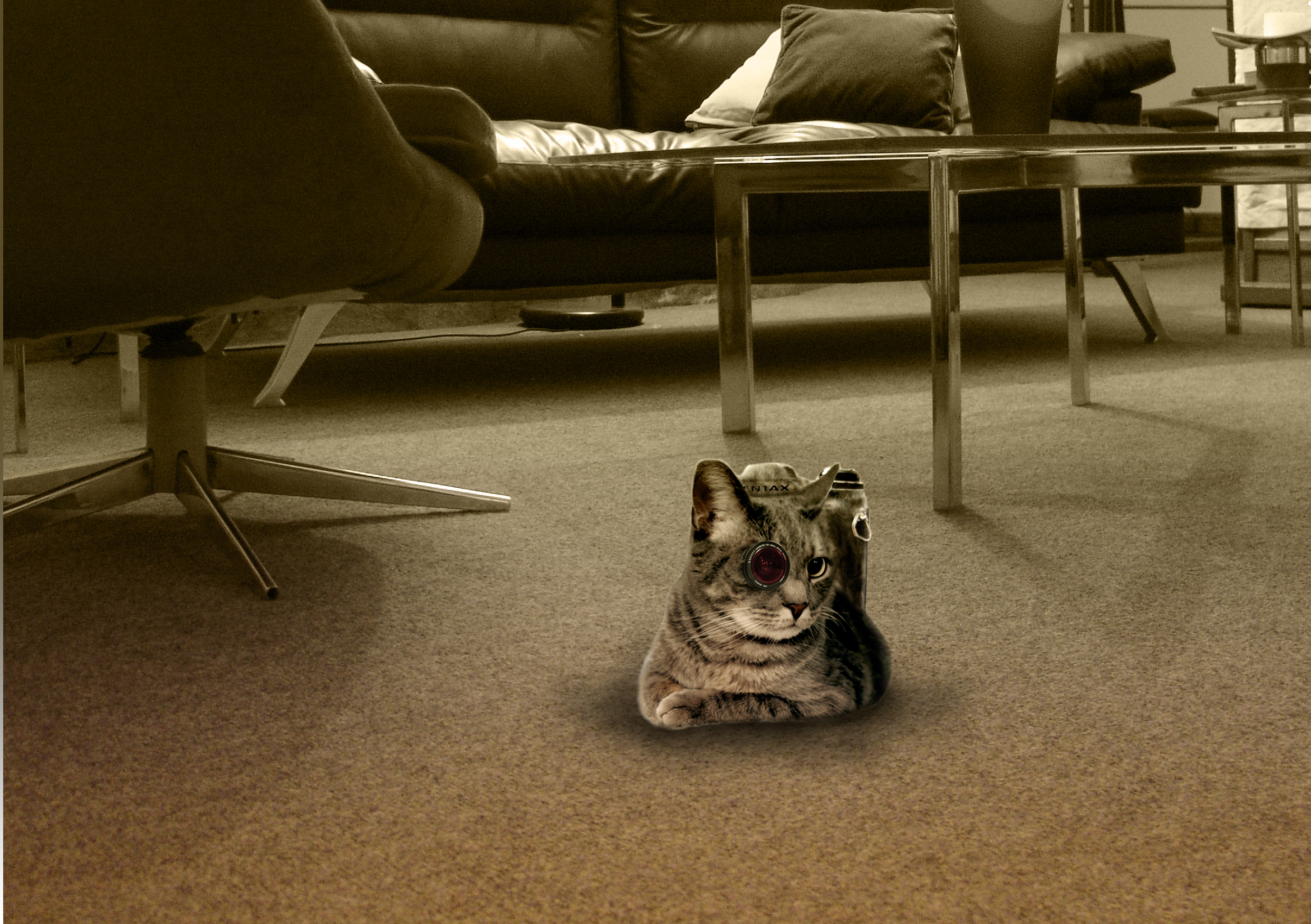 Design Photoshop par eskiss pour DesignCrowd (Community Contests) | Design #9027186