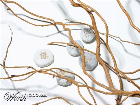 Photography by KarenC