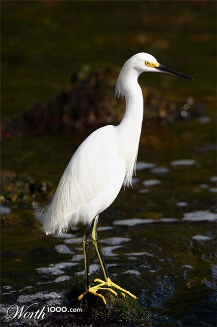 Photography by zsandra