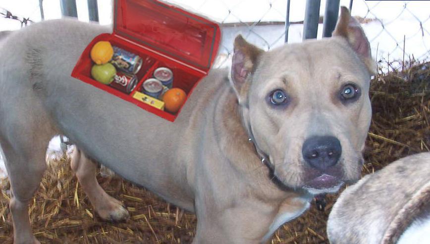 Photoshop-Design von zack199 für DesignCrowd (Community Contests) | Design #9027228