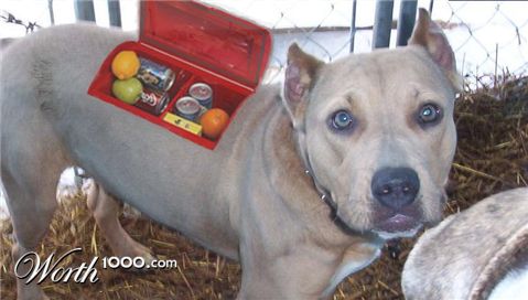 Photoshop Design by zack199