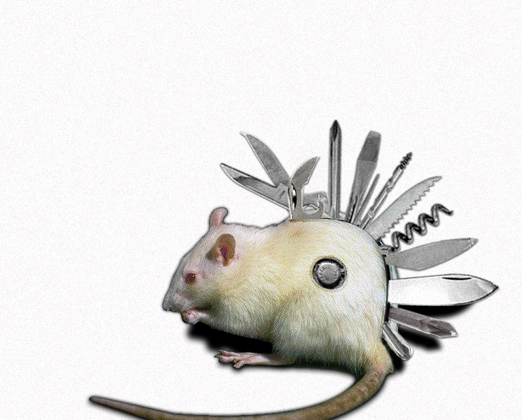 Photoshop Design by Photosoupa for DesignCrowd (Community Contests) | Design #9027225