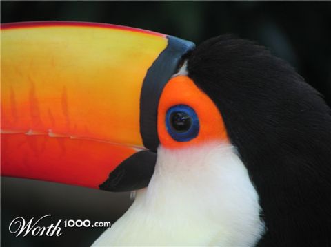 Photography by orazio