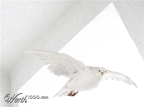 Photography by Firenzesca