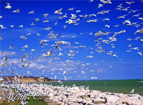 Photography by northman