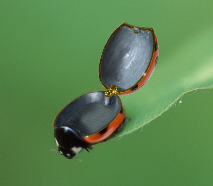 Photoshop-Design von xxlant für DesignCrowd (Community Contests) | Design #9027239