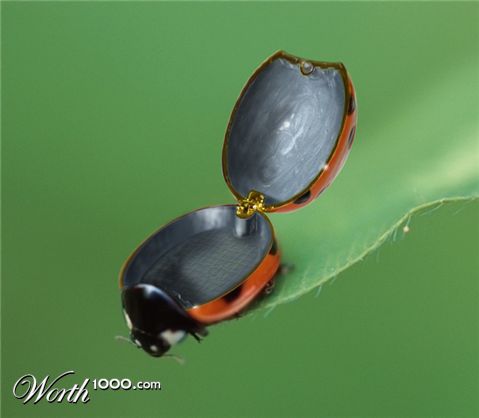 Photoshop Design by xxlant