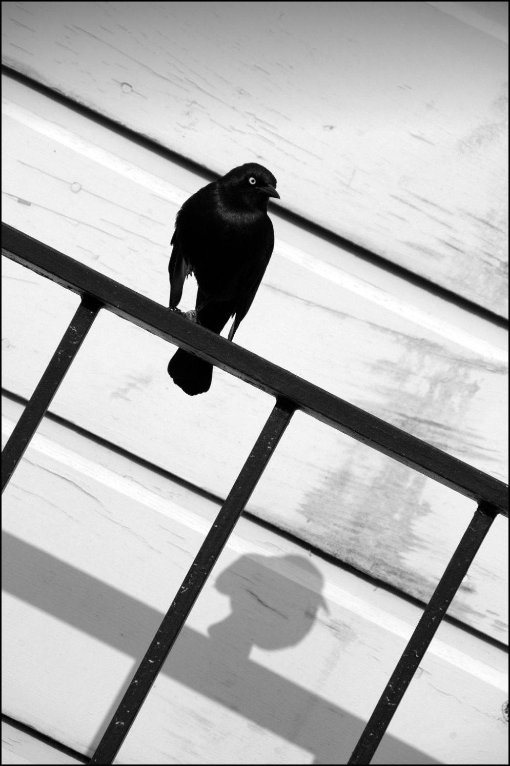 Photography by HopePhoto for DesignCrowd (Community Contests) | Design #9024239