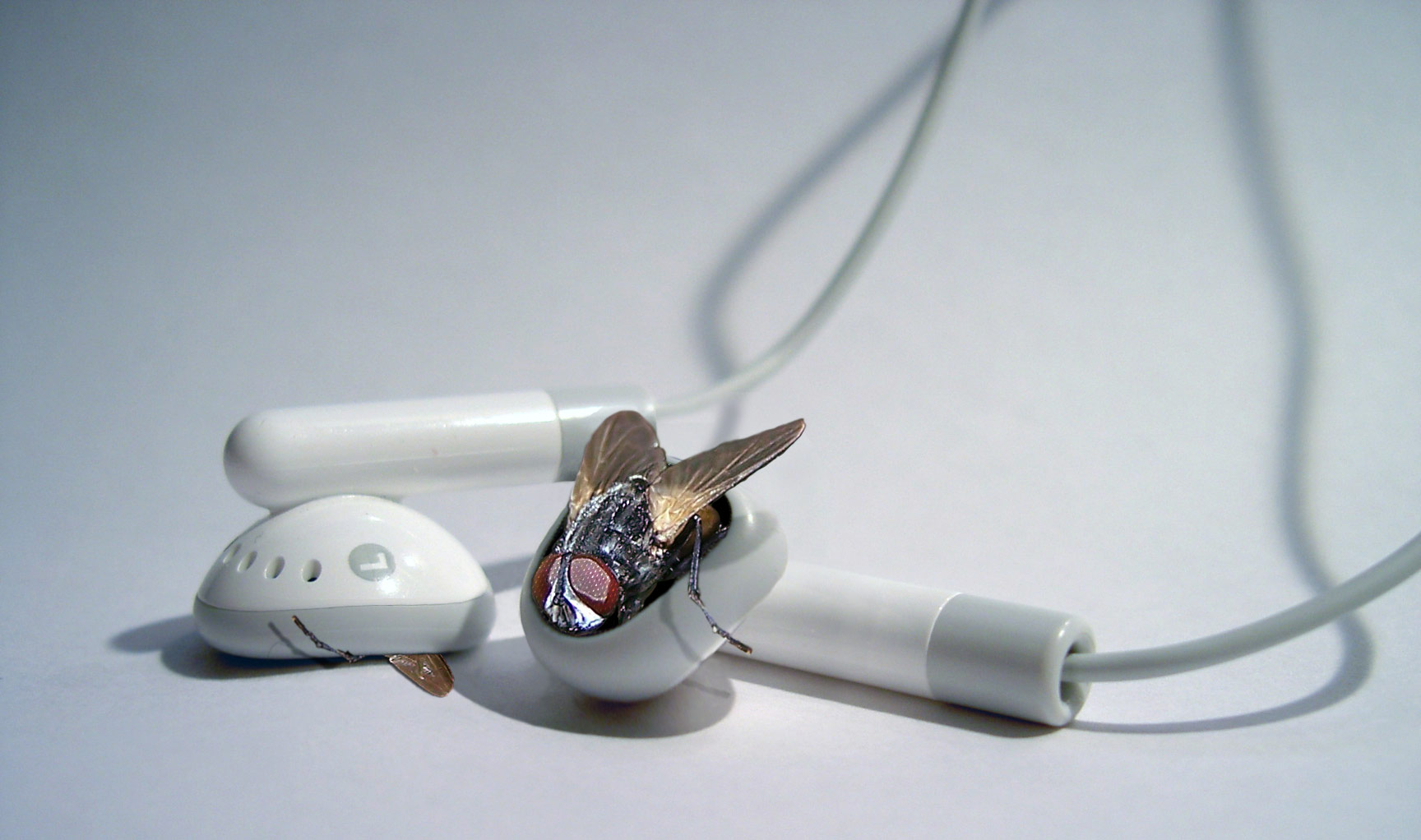 Design Photoshop par thispe pour DesignCrowd (Community Contests) | Design #9027248