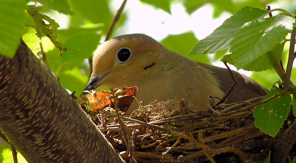 Fotografie von whitegold für DesignCrowd (Community Contests) | Design #9024119