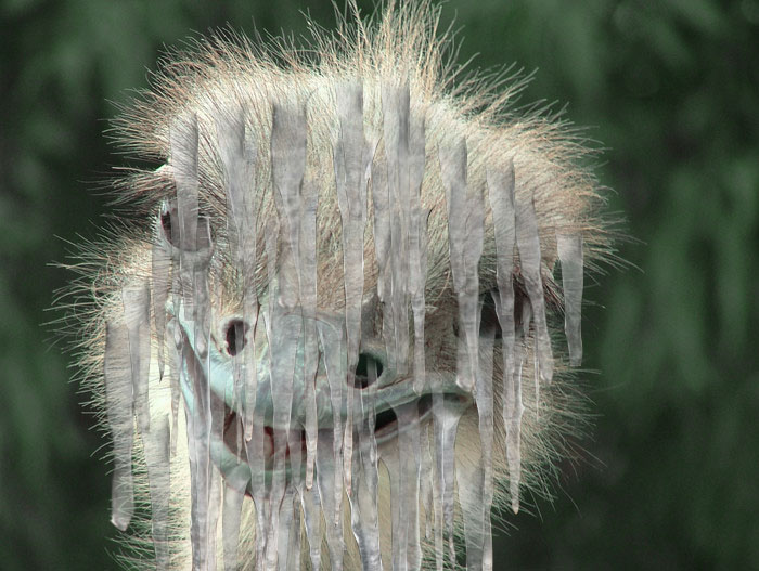 Photoshop-Design von babemagnetz für DesignCrowd (Community Contests) | Design #9028576