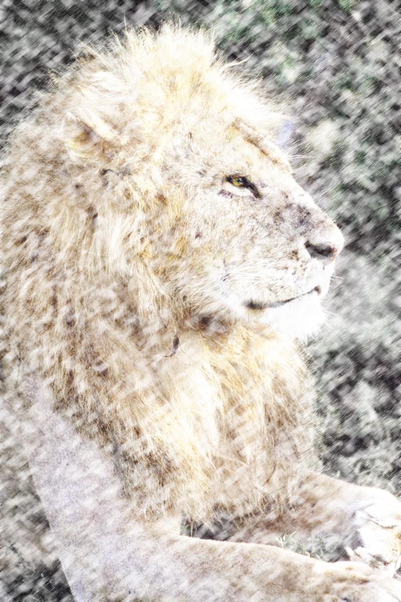 Design Photoshop par westsidecreations pour DesignCrowd (Community Contests) | Design #9028580