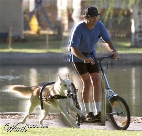 Photoshop Design by marijnpeter