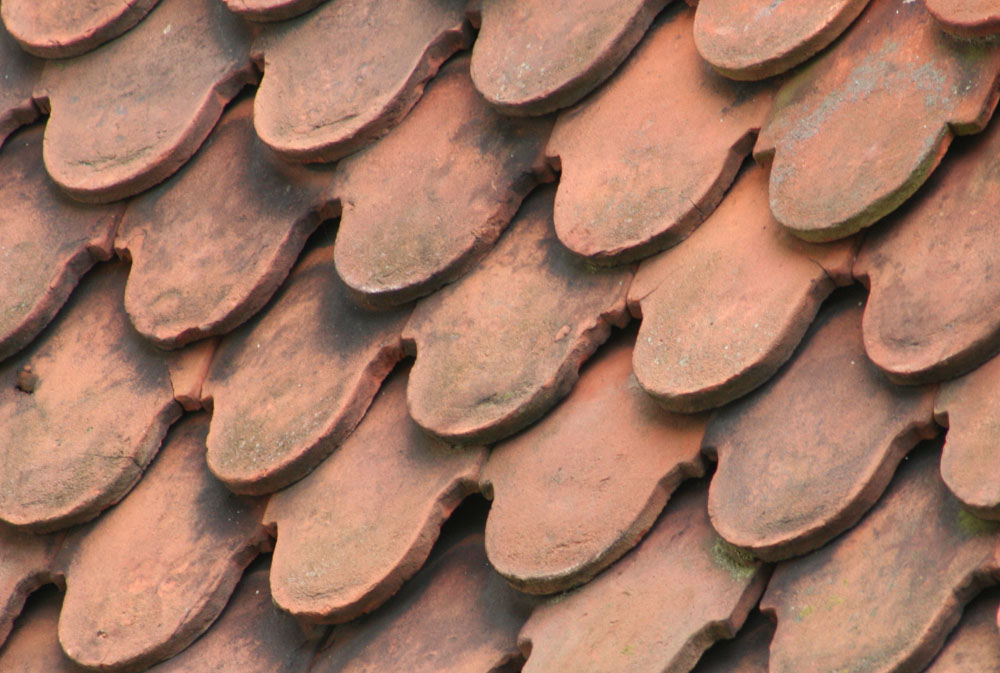 Fotografía por Argonaut1973 para DesignCrowd (Community Contests) | Diseño #9023736