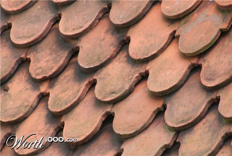 Photography by Argonaut1973