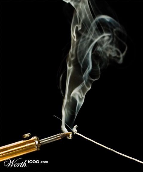 Photography by burns529