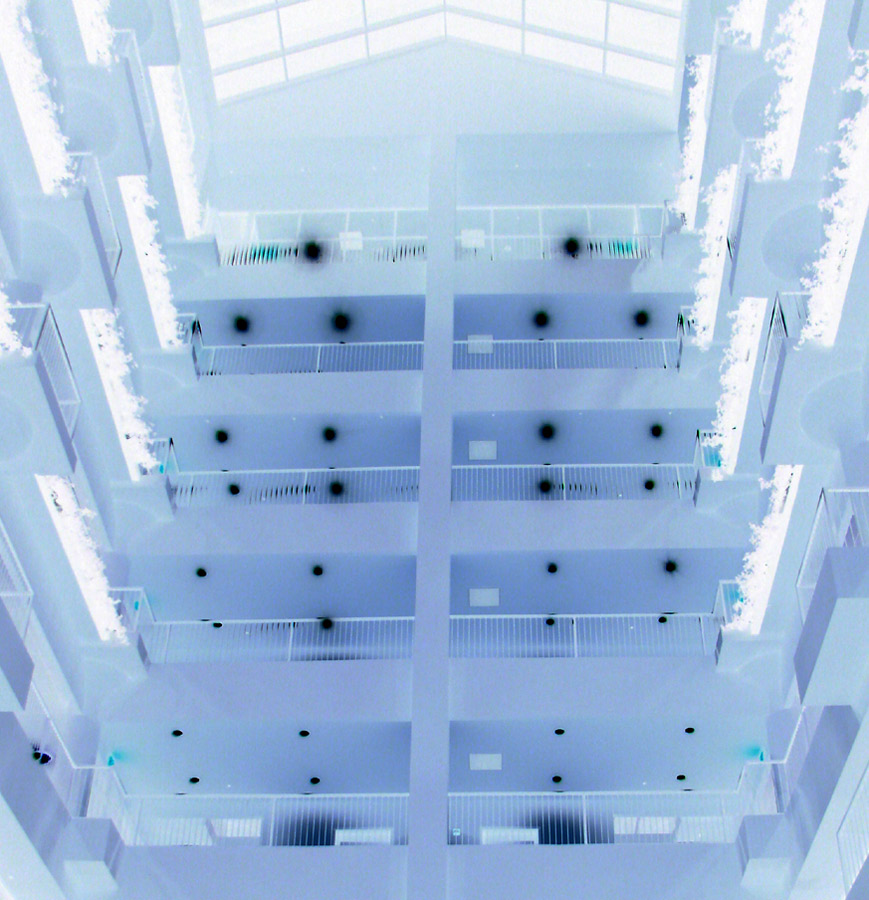 Photographie par Megain pour DesignCrowd (Community Contests) | Design #9020982