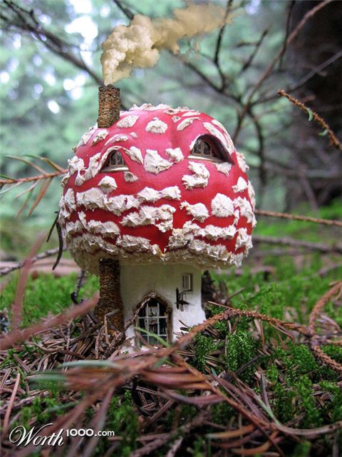 Photoshop Design by HDoyer