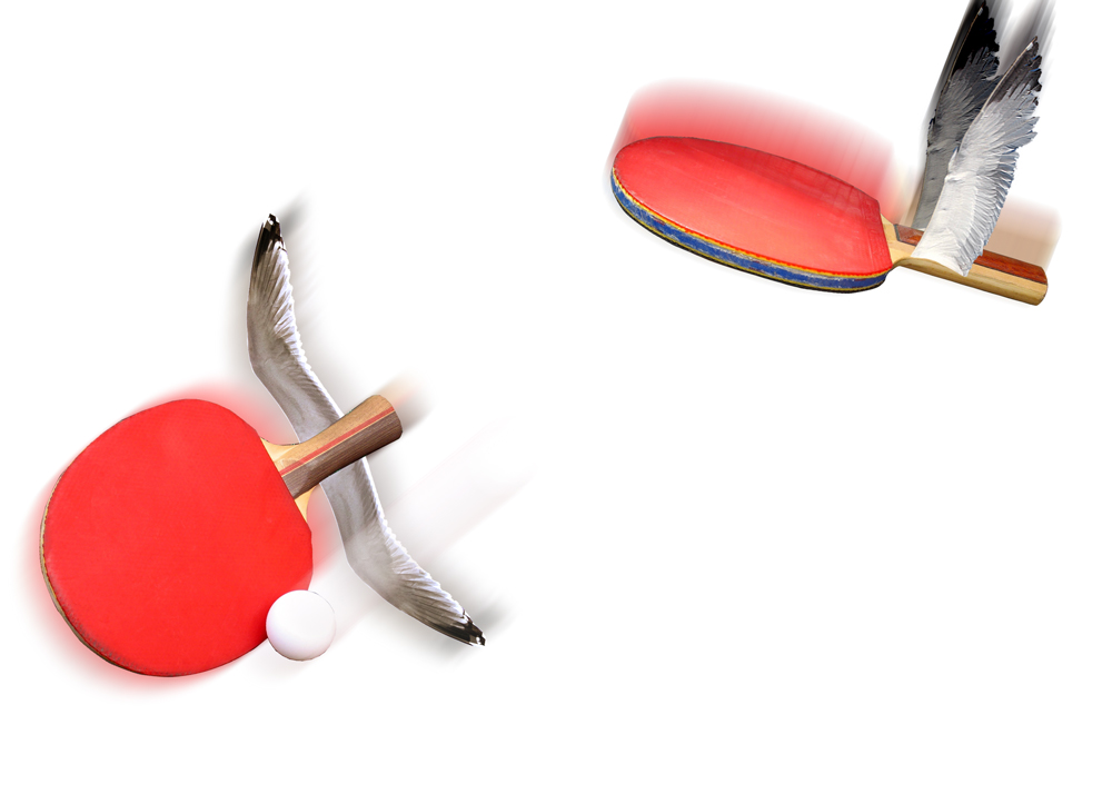 Photoshop Design by mattbyng for DesignCrowd (Community Contests) | Design #9019409