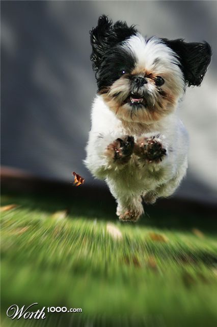 Photoshop Design by drakyssej