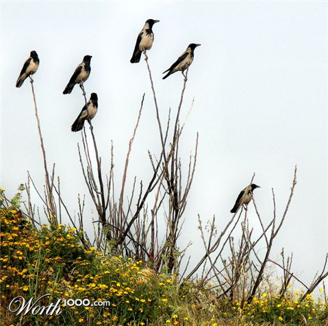 Photography by aridolan
