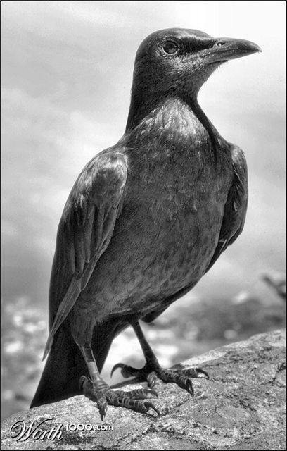 Photography by Juicer